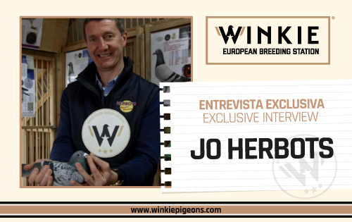 Lire plus: Entrevista con Jo Herbots
