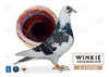 Descendiente de De Witbuik