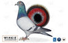 Petit-fils de Rudy