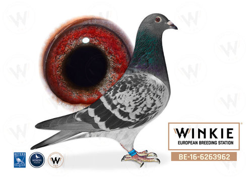 Descendant of Elmer and Olympiade 003