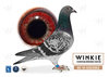 Descendant of Elmer and Olympiade 003