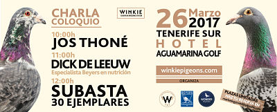 Leer más: ¿Cómo trabajamos en WINKIE?