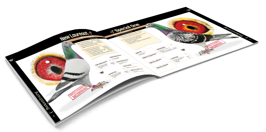 Leer más: Comienzan los capítulos de nuestros reproductores: BATENBURG