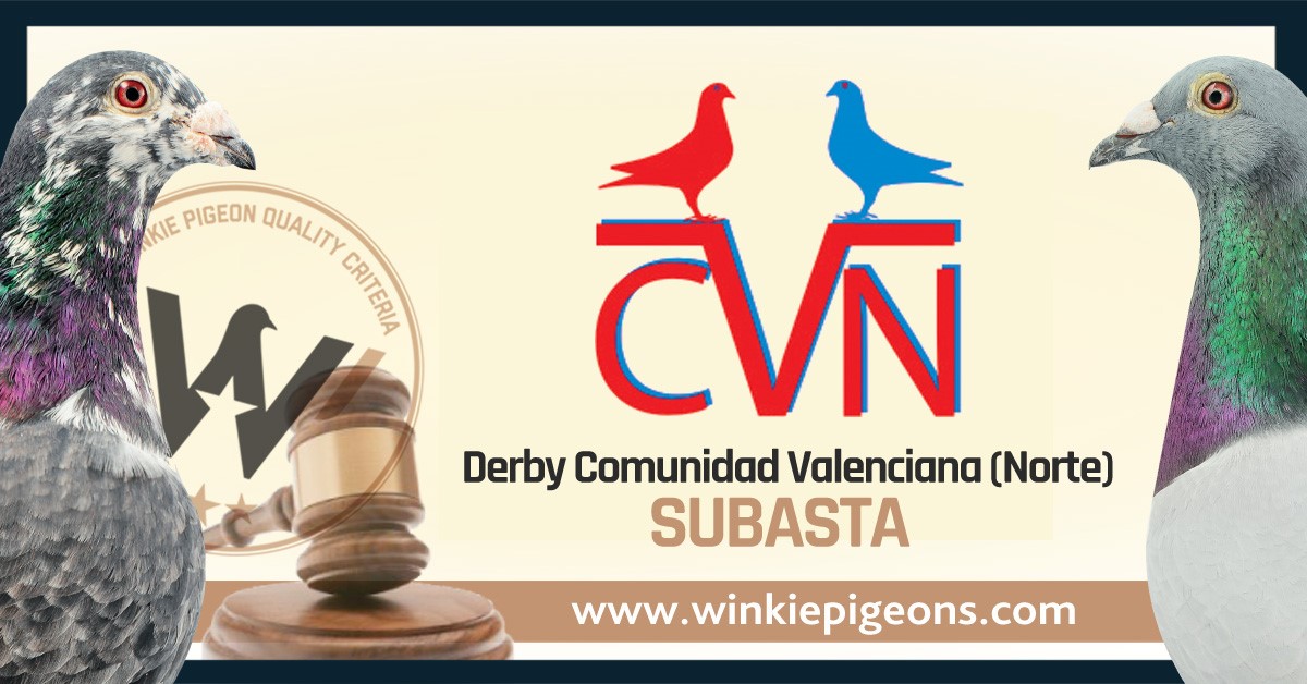 Lire plus: WINKIE subasta las palomas ganadoras del Derby Comunidad Valenciana Norte