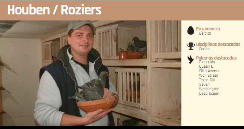 Leer más: Primera subasta en WINKIE de los famosos linajes Houben y Roziers