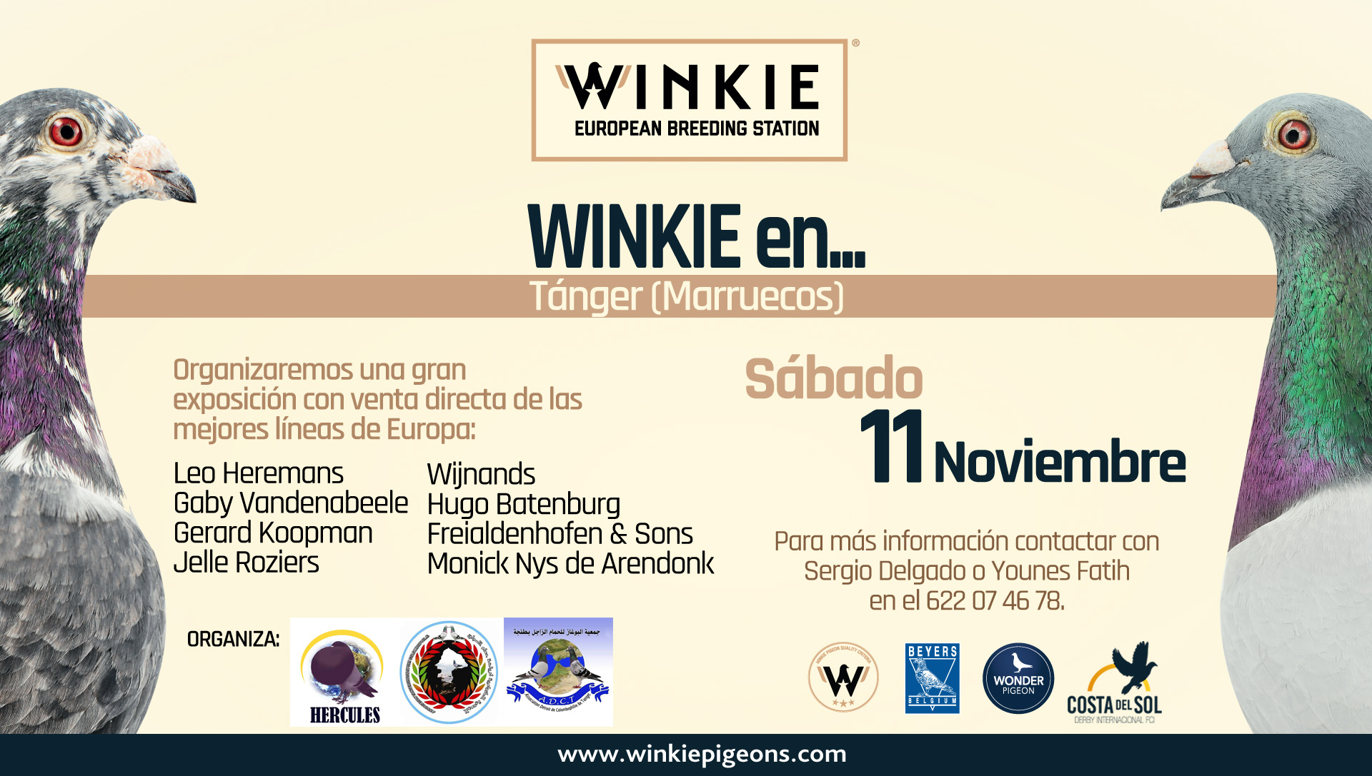 Leer más: WINKIE sigue ampliando fronteras y aterriza en Marruecos