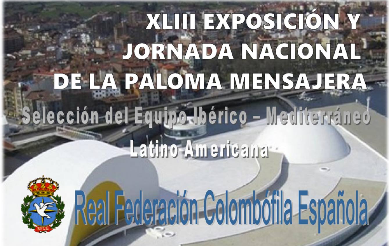 Leer más: WINKIE participará en la Exposición Nacional de Colombofilia en Asturias
