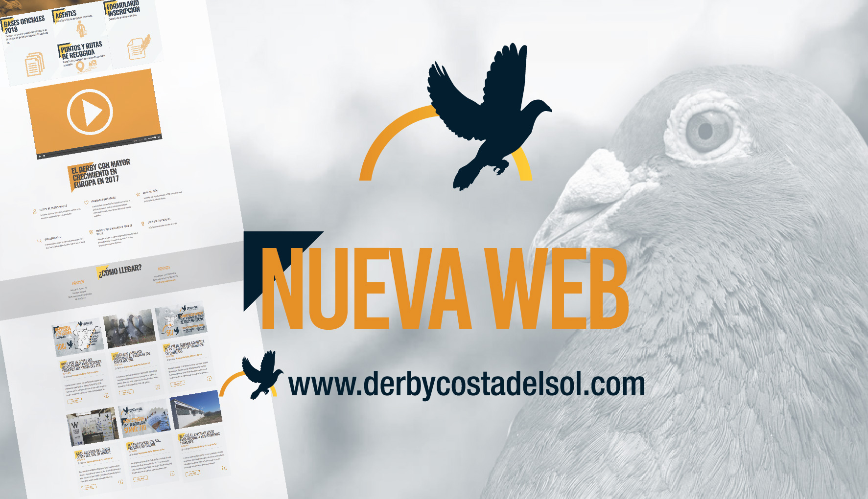 Leer más: Nueva web del Derby que gestiona WINKIE, el Costa del Sol