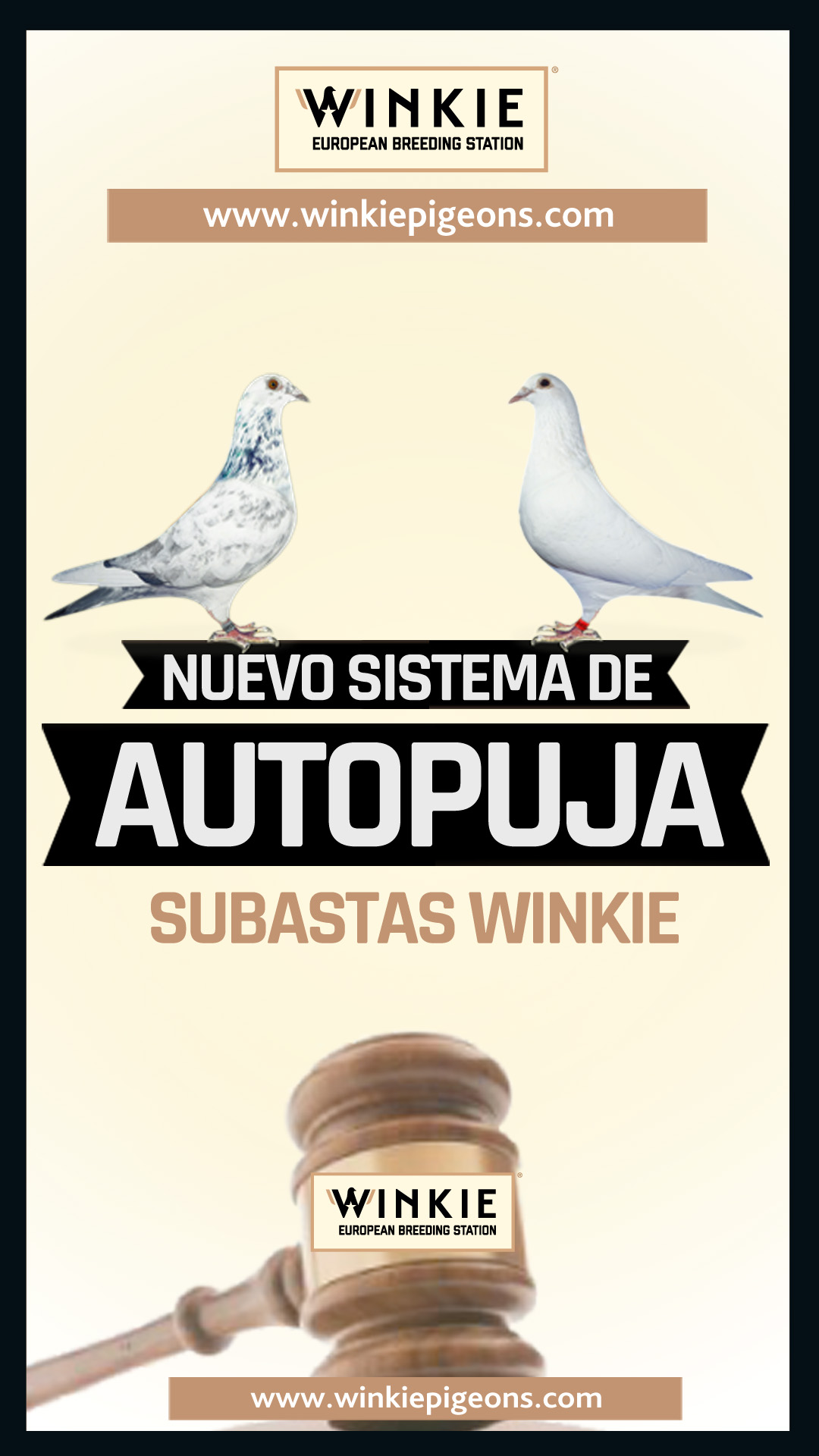 Leer más: La autopuja en las subastas WINKIE ya está disponible