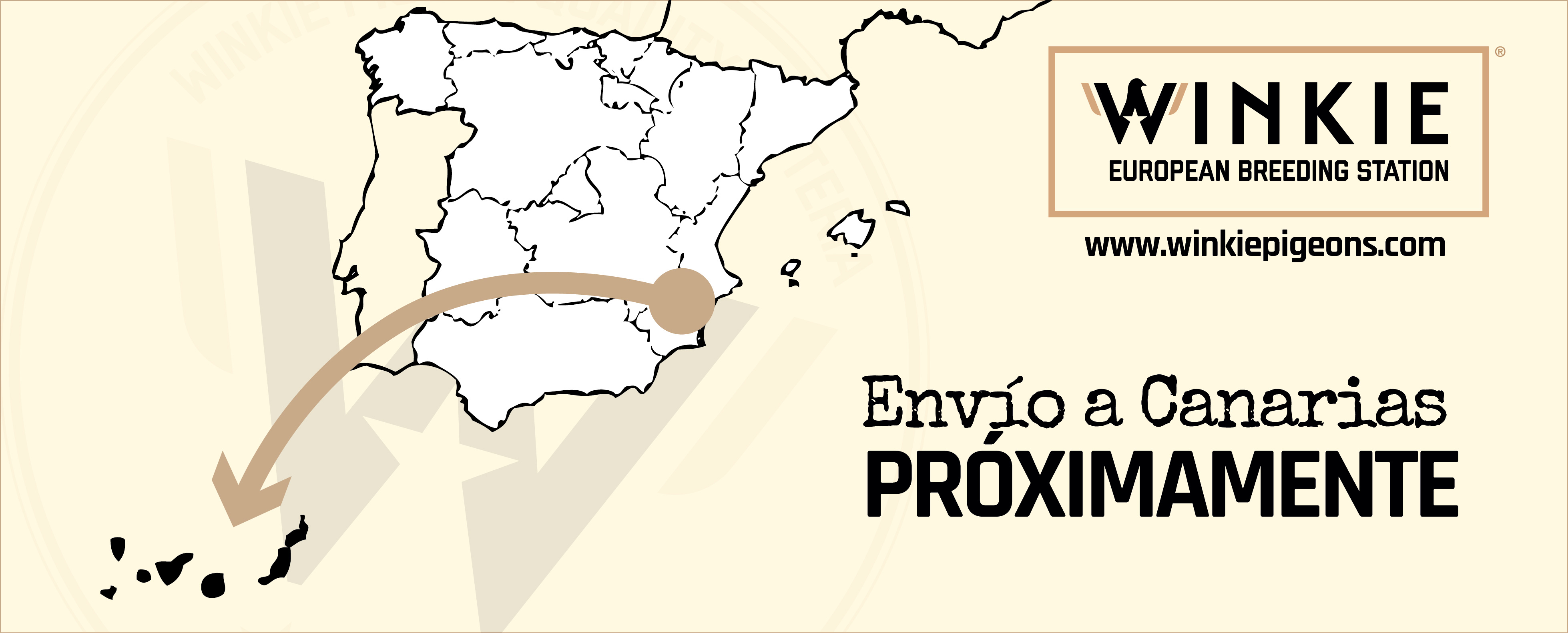 Leer más: ¡PRÓXIMO ENVÍO A CANARIAS!