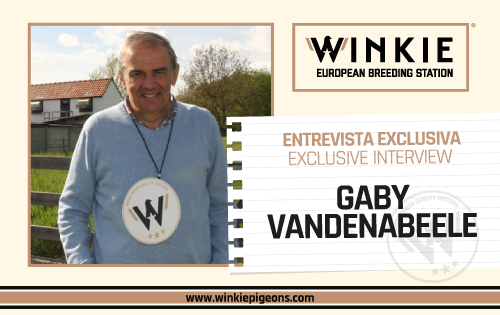 Leer más: Interview with Gaby Vandenabeele