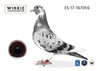 Nieto de New Eagle Eye