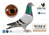 #20 KARL-HEINZ &amp; TIMO WAGNER B