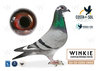 #68 TEAM WEIS-JUNGFLEISCH B