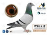 #194 PJ PIGEONS B