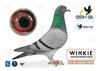 #148 TEAM WEIS-JUNGFLEISCH A