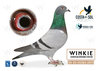 #190 TEAM WEIS-JUNGFLEISCH B