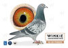 Descendiente The Special One X Descendiente Consanguineo New Laureat