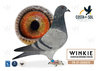 #70 TEAM REILLY RACING PIGEONS AARDEN