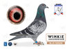 "Wilbert" OVERDIJK & OSSENBLOK