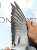 "Star 99" EUROPA STAR PIGEON