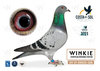 #159 WINGS TO FLY UWE WOLLITZER+ANDREAS GERDES A