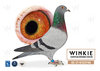 Descendiente Consanguineo de Willyke