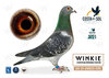 #109 WINGS TO FLY UWE WOLLITZER+ANDREAS GERDES A