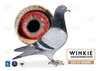 Descendiente Consanguineo de Crow